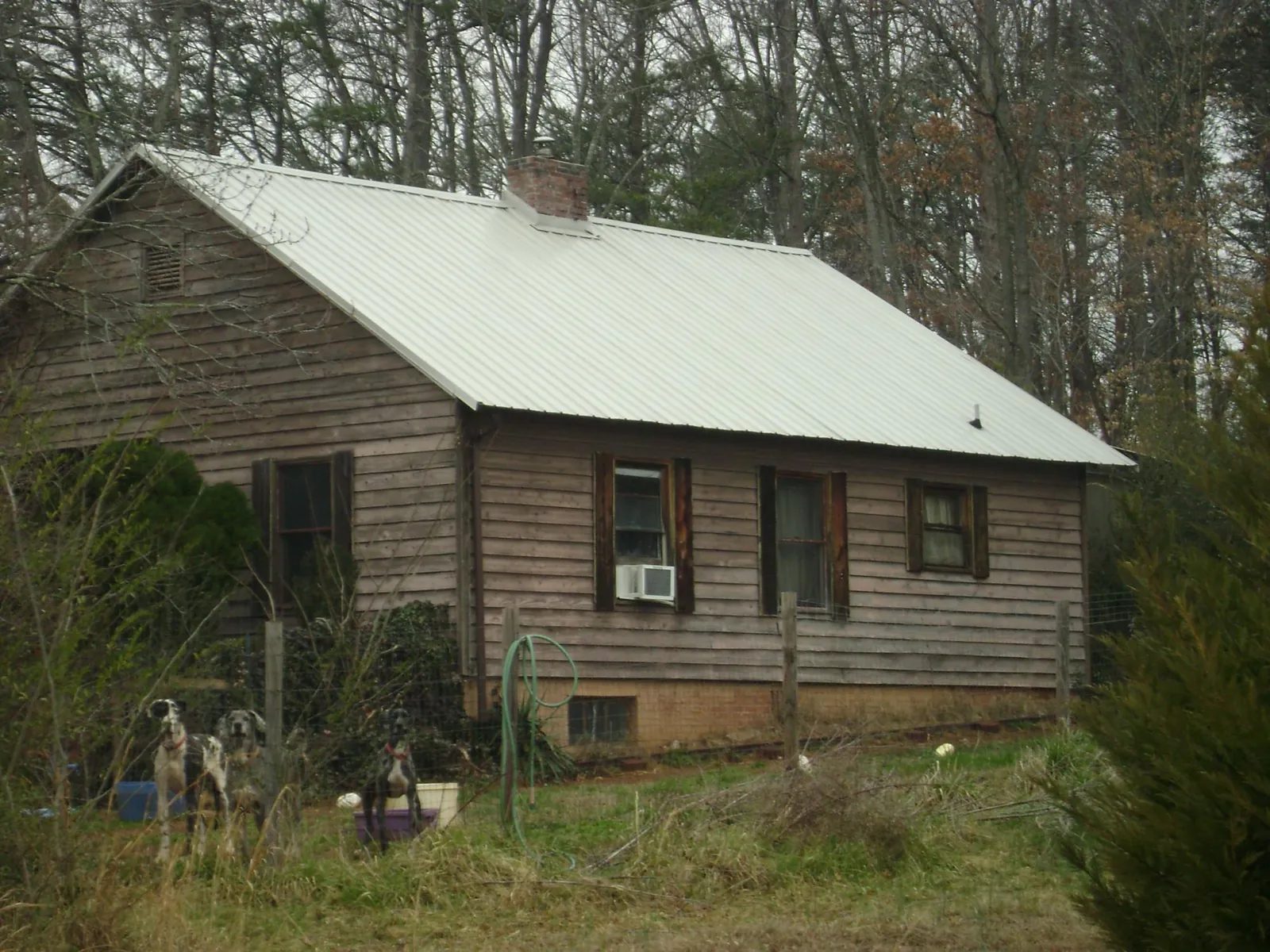 White metal roof on an old wood sided farmhouse, from a Asphalt Shingle Roof Repair job in Fallbrook